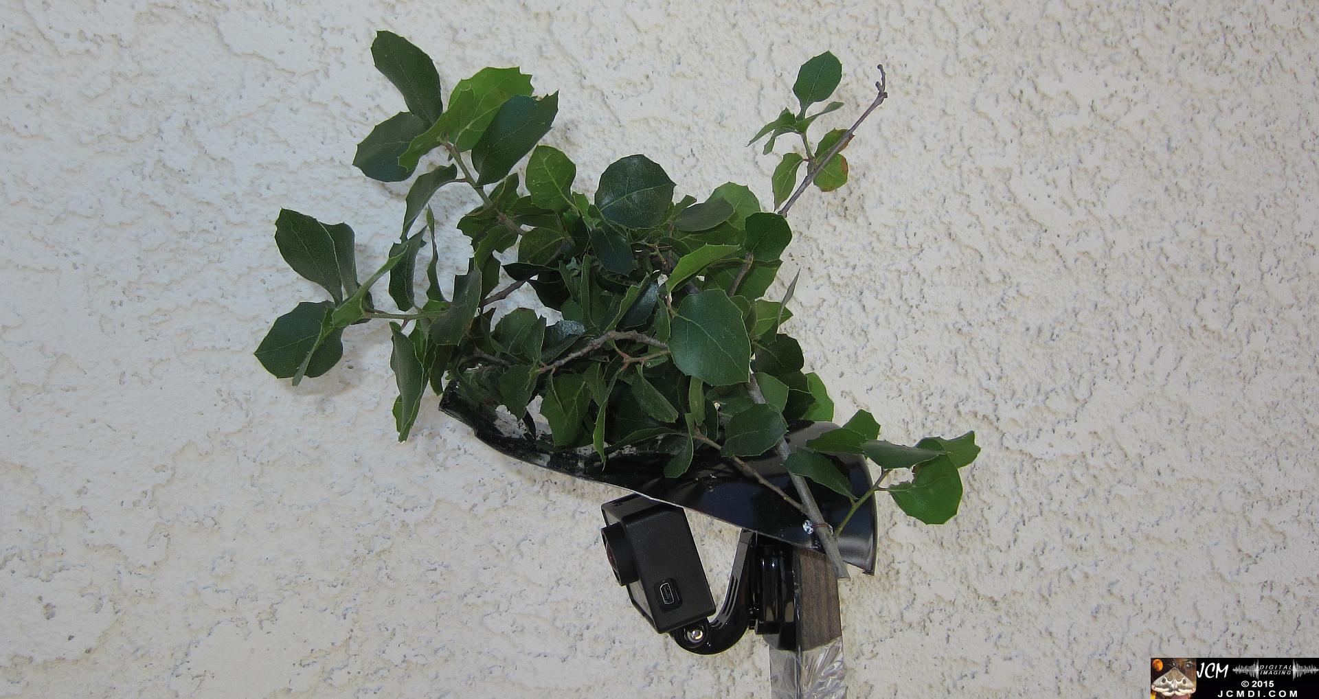 home-made GoPro wildlife camera rig